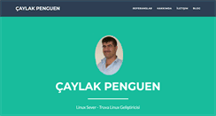 Desktop Screenshot of caylak.truvalinux.org.tr